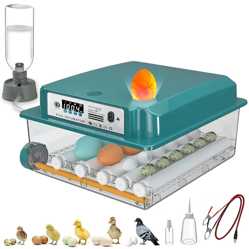CoInceptus 16 Eggs Incubators for Hatching Eggs