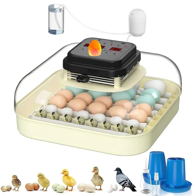 CoInceptus 35 Egg Incubator with Automatic Egg Turning and Humidity Control