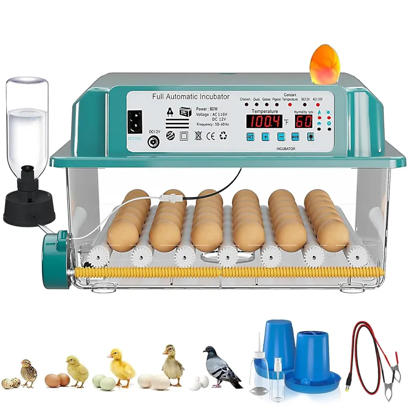 CoInceptus 36 Eggs Incubators for Hatching Eggs