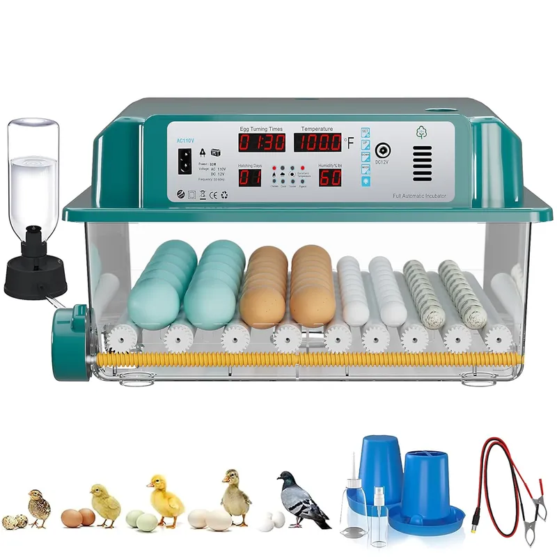 CoInceptus 64 Egg Incubators for Hatching Eggs
