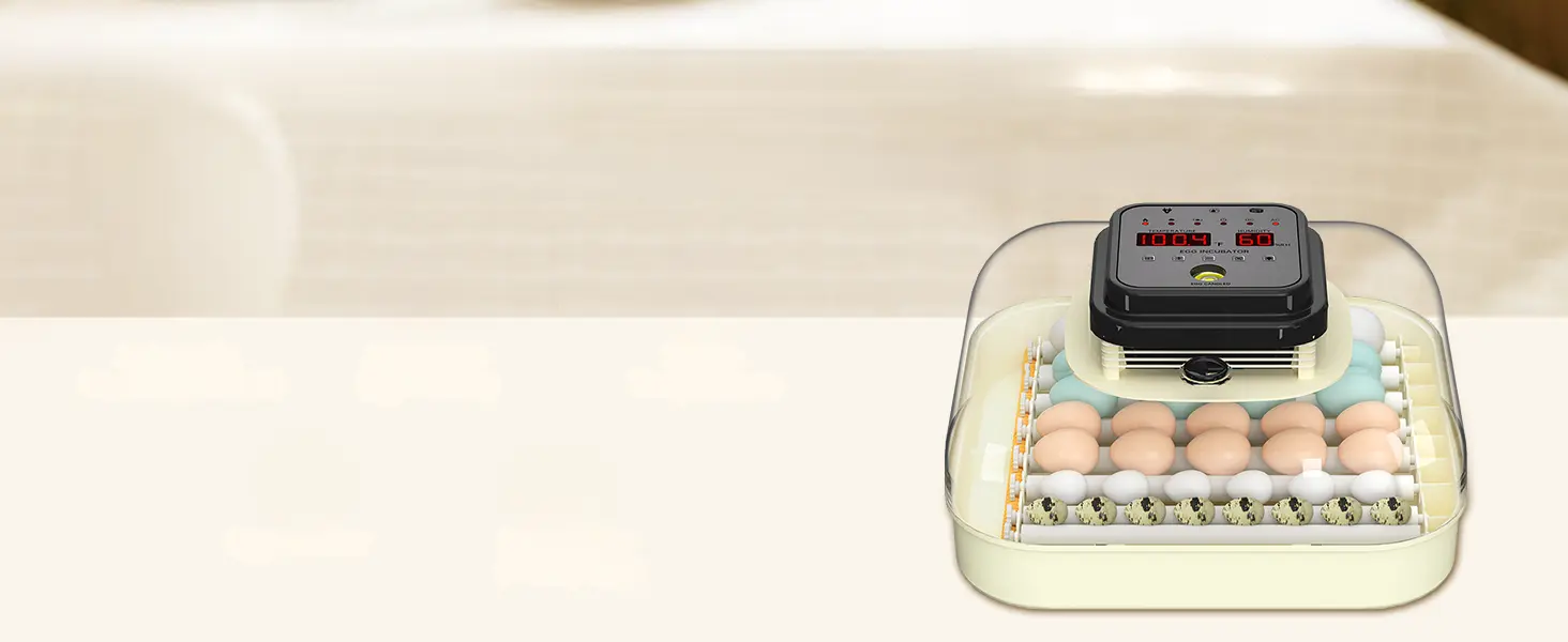 CoInceptus Automatic Egg Incubator