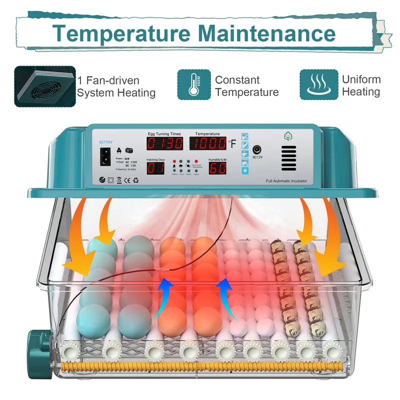 CoInceptus Chicken Incubator with 5 Automatic Incubate Mode