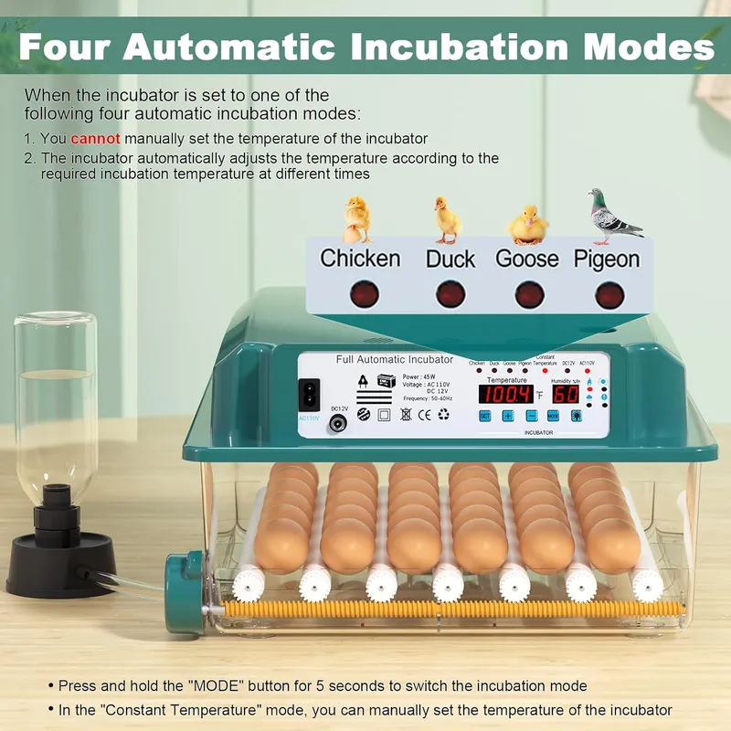 CoInceptus Egg Incubator with 4 Automatic Incubate Mode